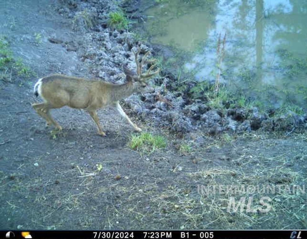 62924 Wolf Creek Ln, North Powder, OR 97867 photo 43