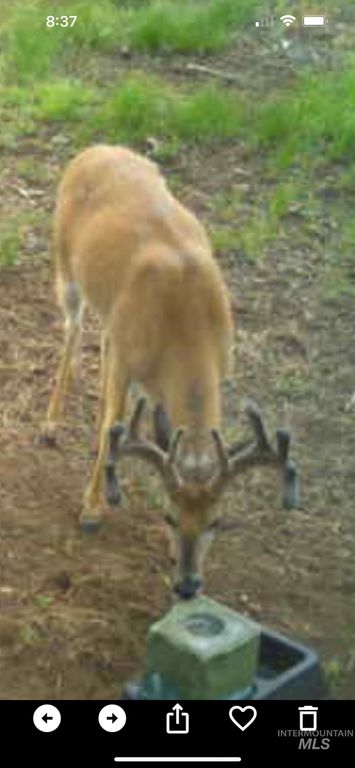 62924 Wolf Creek Ln, North Powder, OR 97867 photo 44