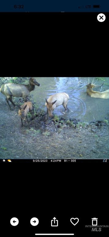 62924 Wolf Creek Ln, North Powder, OR 97867 photo 46