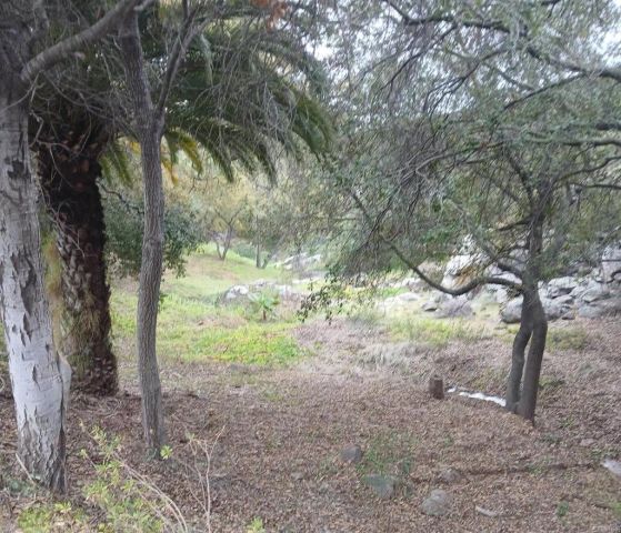 4747 Oak Crest 87, Fallbrook, CA 92028