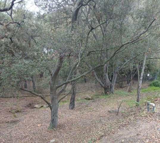 4747 Oak Crest 87, Fallbrook, CA 92028