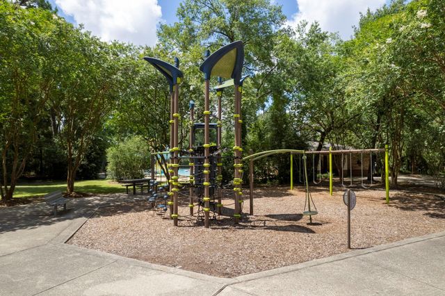 142 Golden Autumn Place, The Woodlands, TX 77384