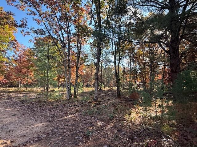 6710 W Dana's Circle, Baldwin, MI 49304