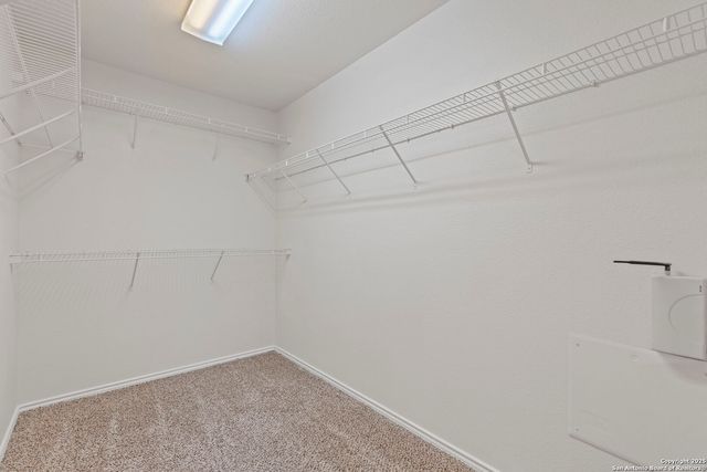 6954 Cutting, San Antonio, TX 78244