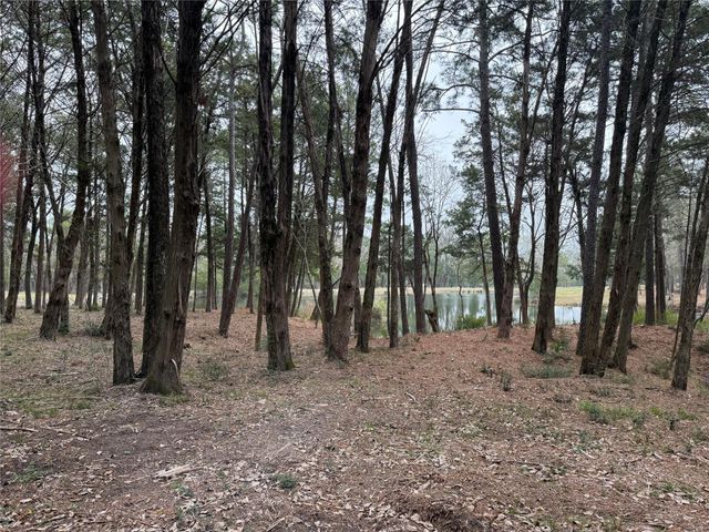 Lot 7 Block 2 Evergreen Hill Lane, Willis, TX 77378