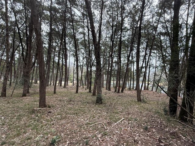 Lot 7 Block 2 Evergreen Hill Lane, Willis, TX 77378