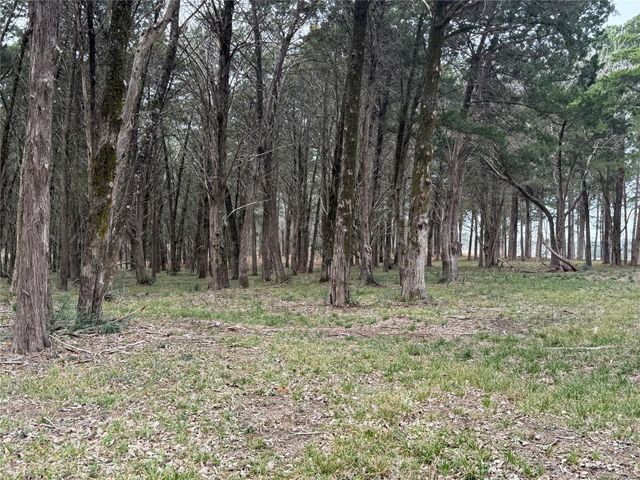 Lot 7 Block 2 Evergreen Hill Lane, Willis, TX 77378