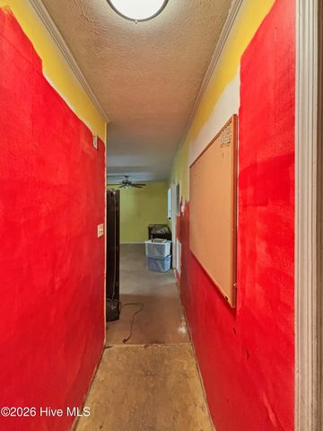 42 N Sixth Street, Clarkton, NC 28433