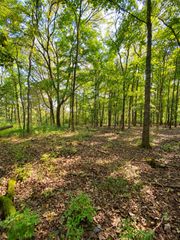 0 Pawnee Trail, Madison, TN 37115