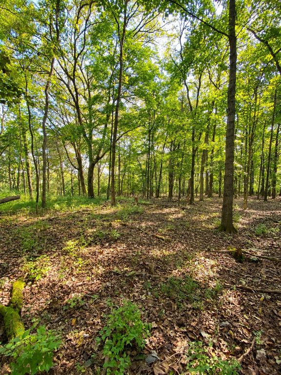 0 Pawnee Trail, Madison, TN 37115
