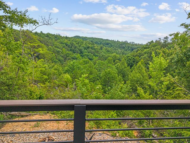 711 Worley Hill Top Road, Stearns, KY 42647