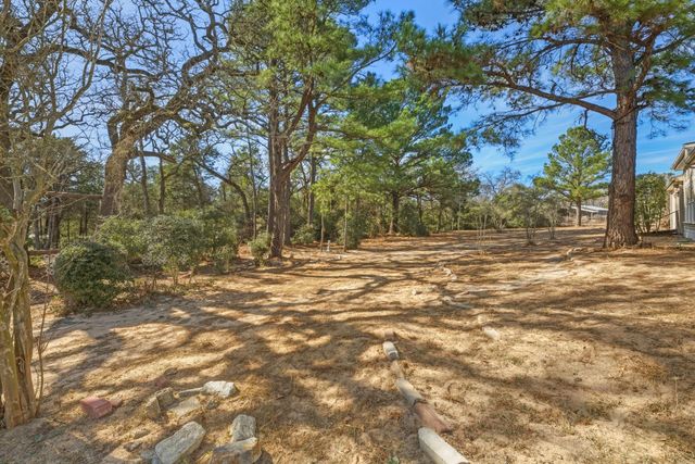 171 Mustang DR, Paige, TX 78659