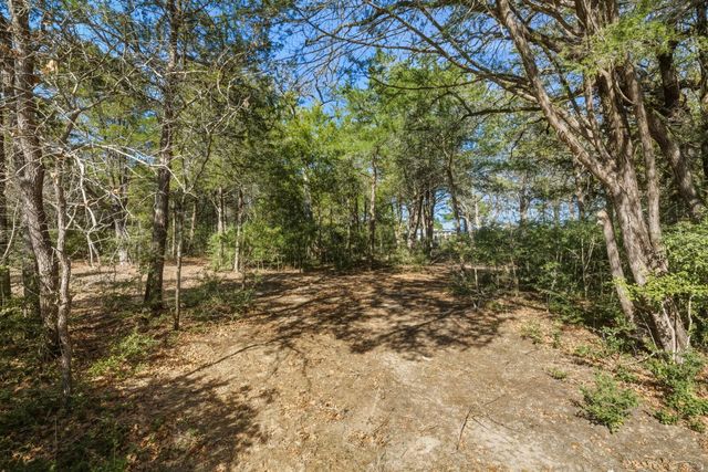 171 Mustang DR, Paige, TX 78659