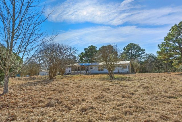 171 Mustang DR, Paige, TX 78659