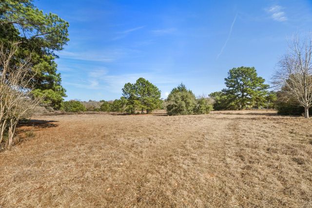 171 Mustang DR, Paige, TX 78659