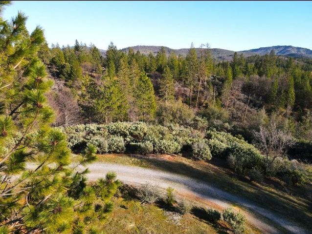 2805 Mason Rd, Rail Road Flat, CA 95248