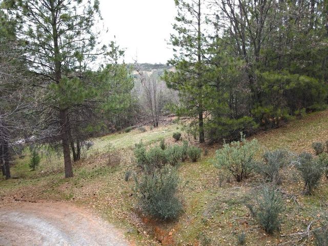 2805 Mason Rd, Rail Road Flat, CA 95248