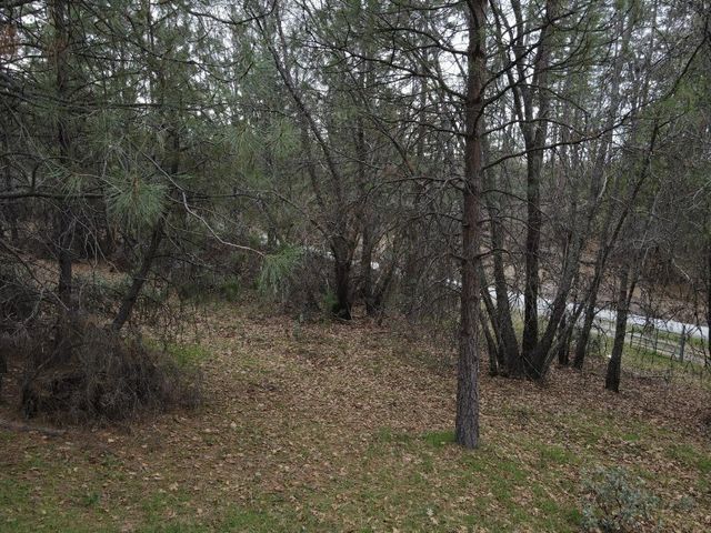 2805 Mason Rd, Rail Road Flat, CA 95248