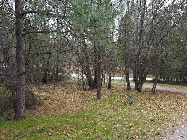 2805 Mason Rd, Rail Road Flat, CA 95248