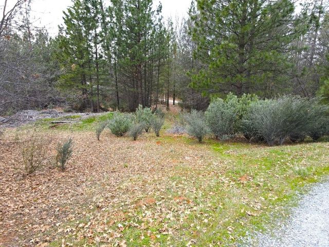 2805 Mason Rd, Rail Road Flat, CA 95248