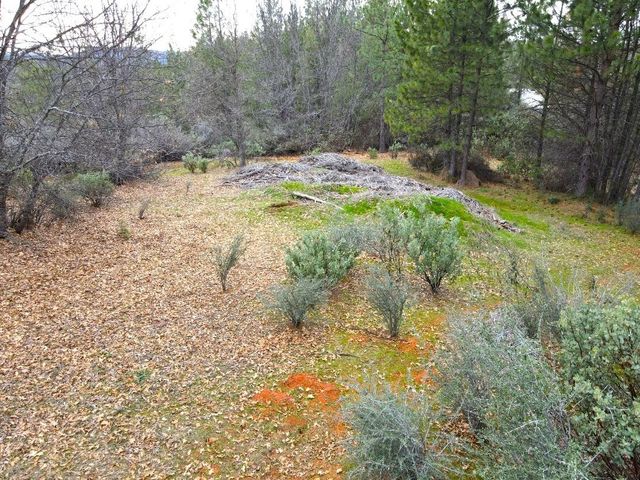 2805 Mason Rd, Rail Road Flat, CA 95248