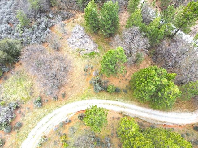 2805 Mason Rd, Rail Road Flat, CA 95248