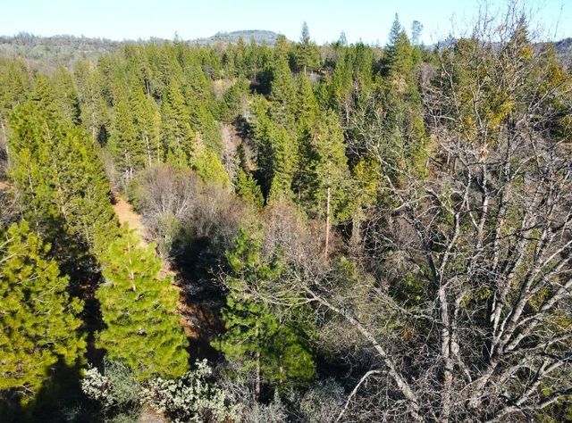 2805 Mason Rd, Rail Road Flat, CA 95248