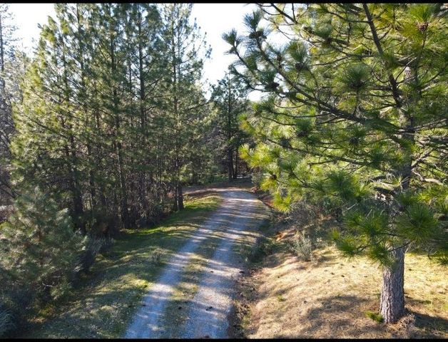 2805 Mason Rd, Rail Road Flat, CA 95248