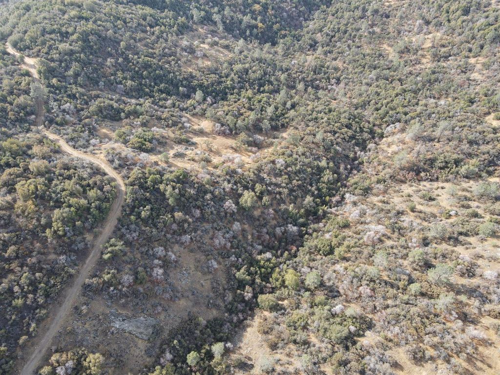 Image 9 of property listing at 0 Bobs Flat Rd, Tollhouse, CA 93667