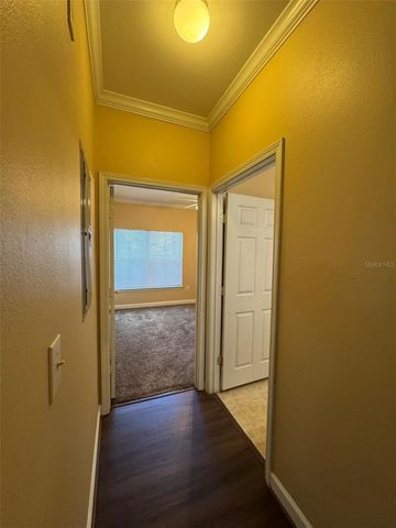 18575 BRIDLE CLUB DRIVE, Tampa, FL 33647