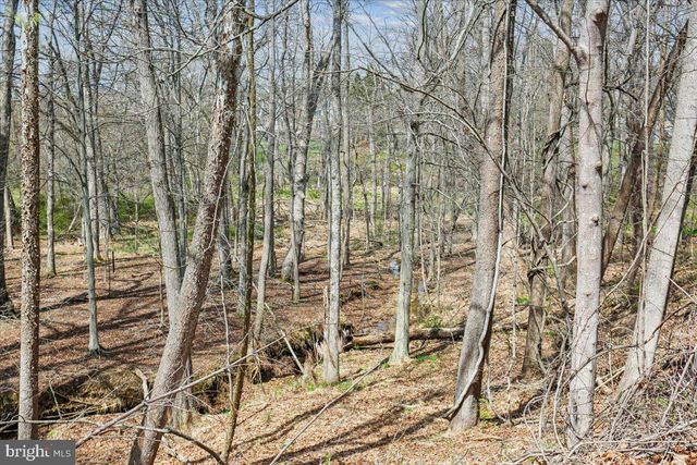 11112 TARA RD, Potomac, MD 20854