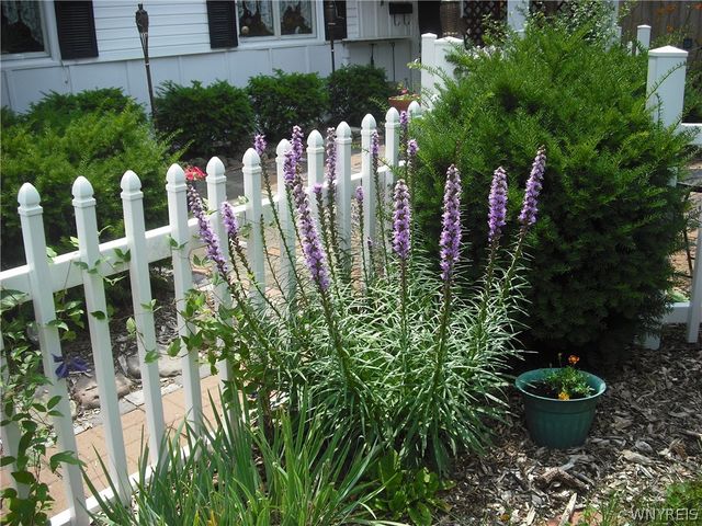 207 Coolidge Road, Irondequoit, NY 14622