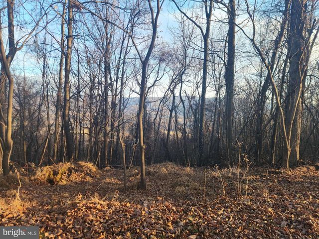 LOT 13 SEVEN OAKS DR, Bentonville, VA 22610