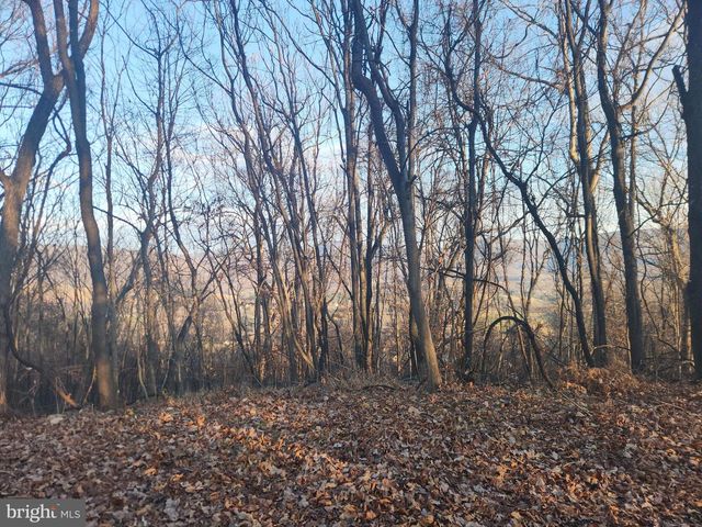 LOT 13 SEVEN OAKS DR, Bentonville, VA 22610