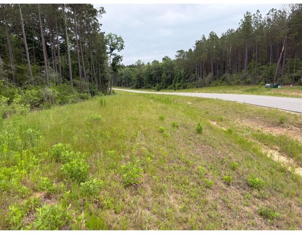 15890 Ridge Oak Road, Willis, TX 77378