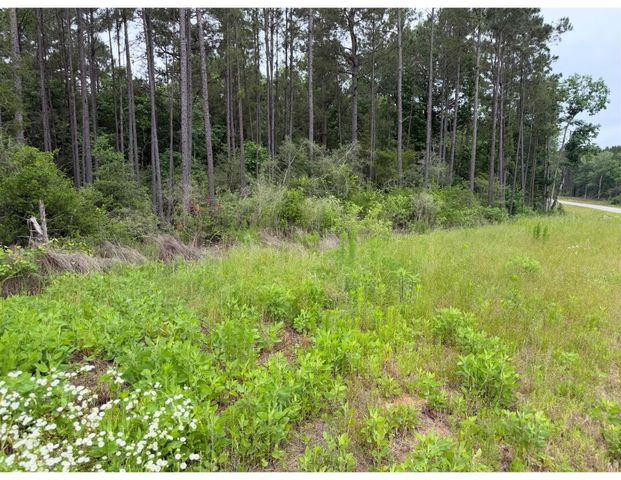 15890 Ridge Oak Road, Willis, TX 77378