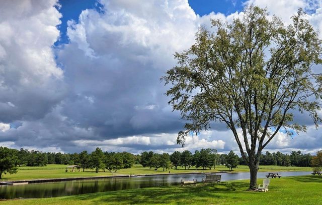 15890 Ridge Oak Road, Willis, TX 77378
