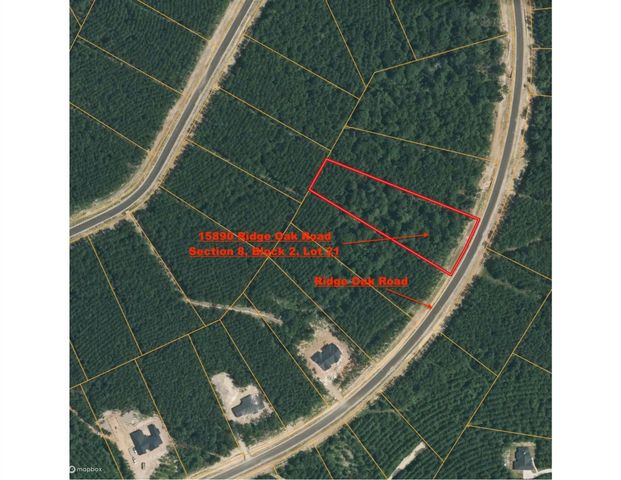 15890 Ridge Oak Road, Willis, TX 77378