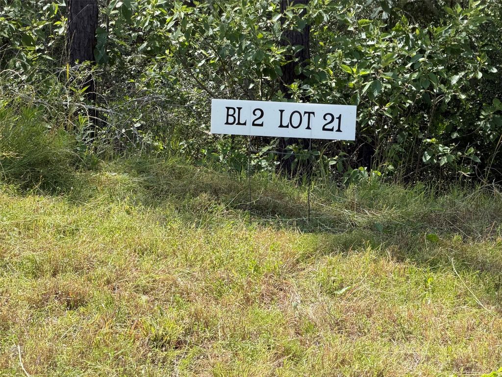 15890 Ridge Oak Road, Willis, TX 77378