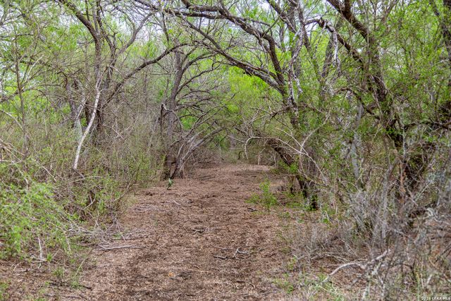 1277 County Road 138, Floresville, TX 78114