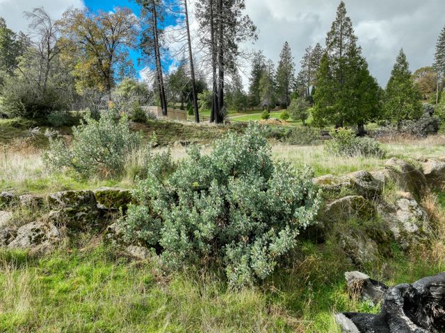 34327 Shaver Springs Road, Auberry, CA 93602