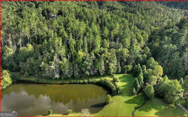 0 Walker Ridge Way, Mineral Bluff, GA 30559