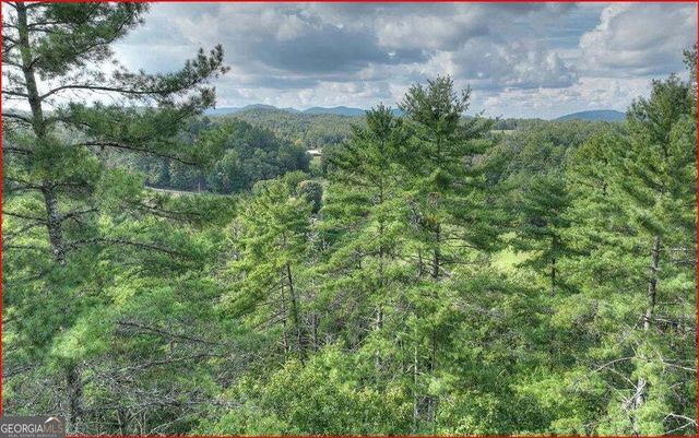 0 Walker Ridge Way, Mineral Bluff, GA 30559