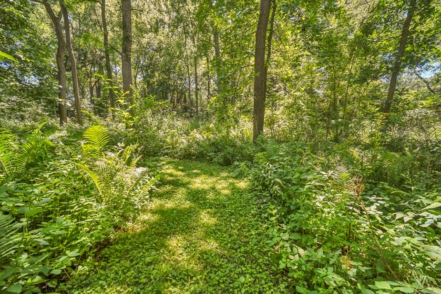 12N085 Wildmere Drive, Elgin, IL 60123