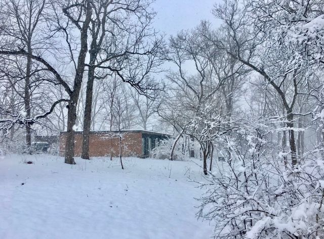 12N085 Wildmere Drive, Elgin, IL 60123