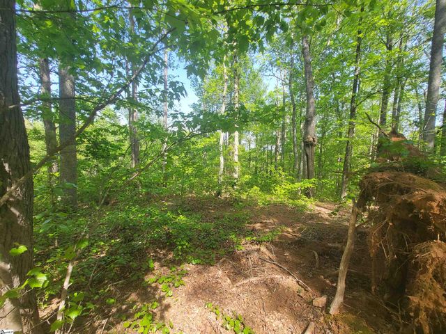 121 Laurel Valley Way, Travelers Rest, SC 29690