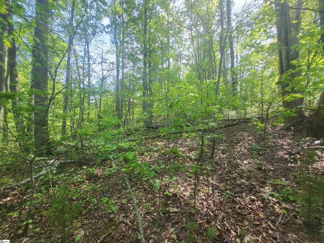 121 Laurel Valley Way, Travelers Rest, SC 29690