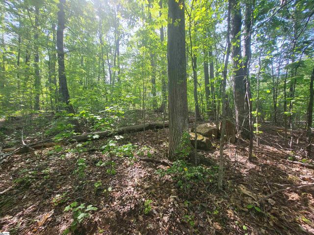 121 Laurel Valley Way, Travelers Rest, SC 29690