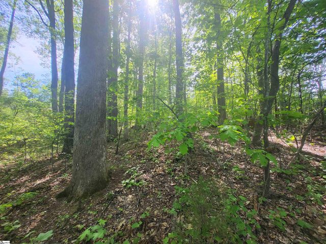 121 Laurel Valley Way, Travelers Rest, SC 29690