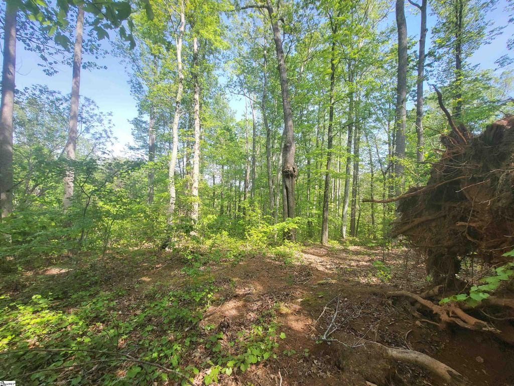 121 Laurel Valley Way, Travelers Rest, SC 29690